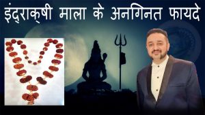 Read more about the article ndrakshi Mala Benefits | Indra Mala | 1 To 21 Mukhi Nepal Rudraksh