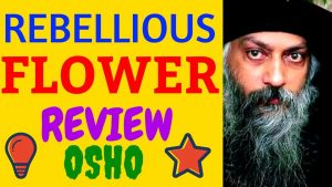 Read more about the article Rebellious Flower Full Movie Review Osho Rajneesh Hindi Speech Pravachan Documentary Meditation 2018